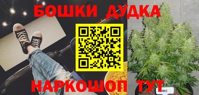 прущие крисы Донской