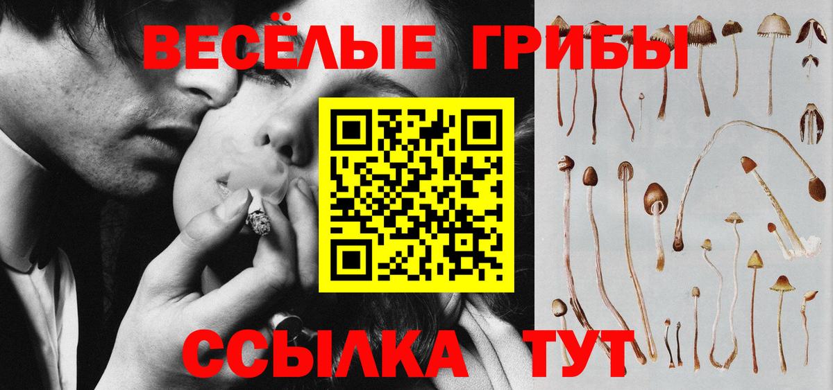 Псилоцибиновые грибы GOLDEN TEACHER  Вход с VPN  Галлюциногенные грибы мицелий  Нерюнгри 